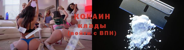 гидропоника Вяземский