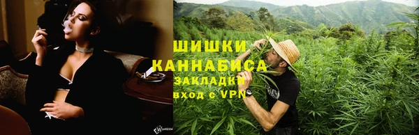 гидропоника Вяземский