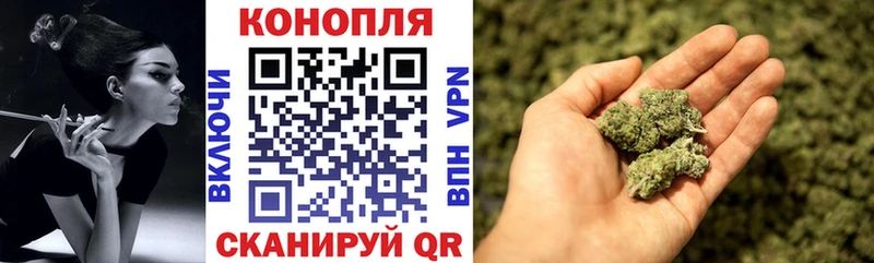 Шишки марихуана планчик  Пикалёво 